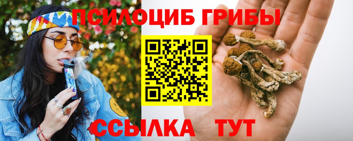Асино  Галлюциногенные грибы ЛСД  Вход с VPN 