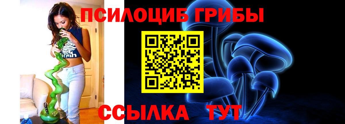 Псилоцибиновые грибы мухоморы Асино