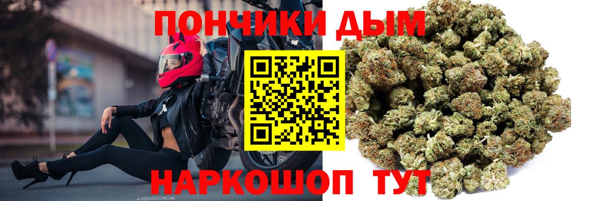 Канабис семена Асино